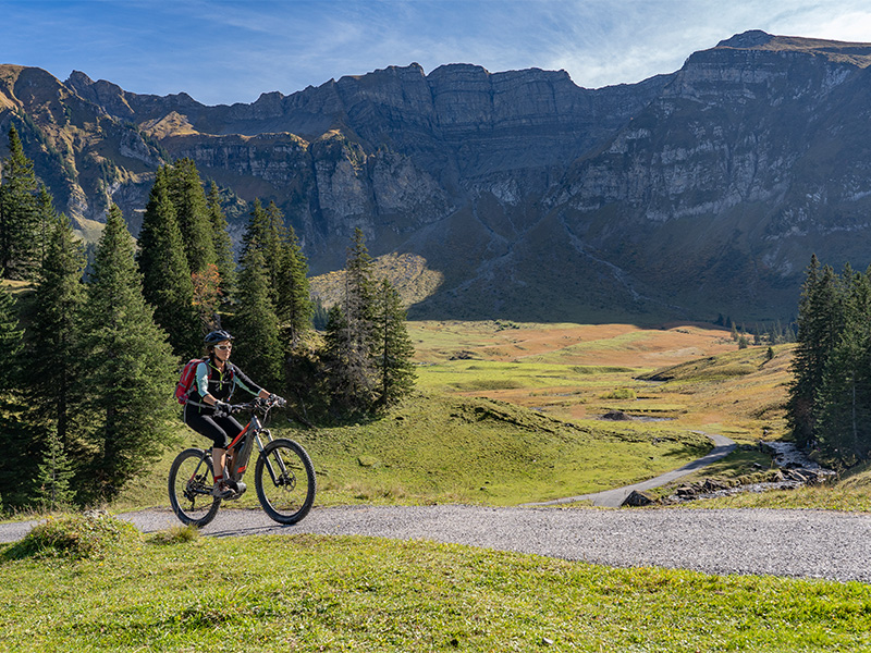 Outdoor-Biken: Vorteile Bei einer Radtour an der frischen Luft kommen einige äußere Einflüsse dazu. Du stärkst neben deiner Muskulatur und Beweglichkeit gleichzeitig auch dein Immunsystem und tankst mehr Vitamin D.
