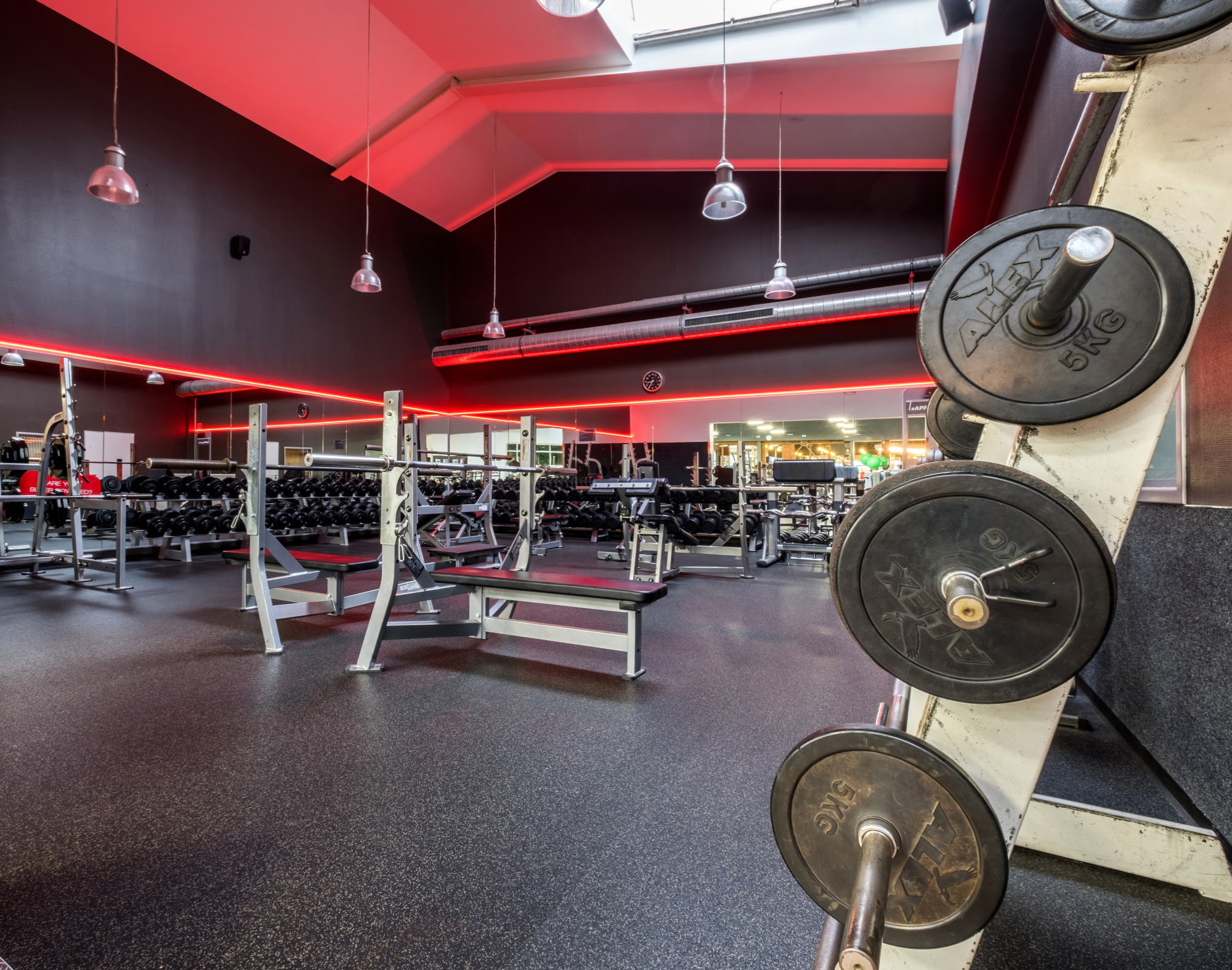 Fitness First Essen Freeweight Area Fitness First Essen Freeweight Area
