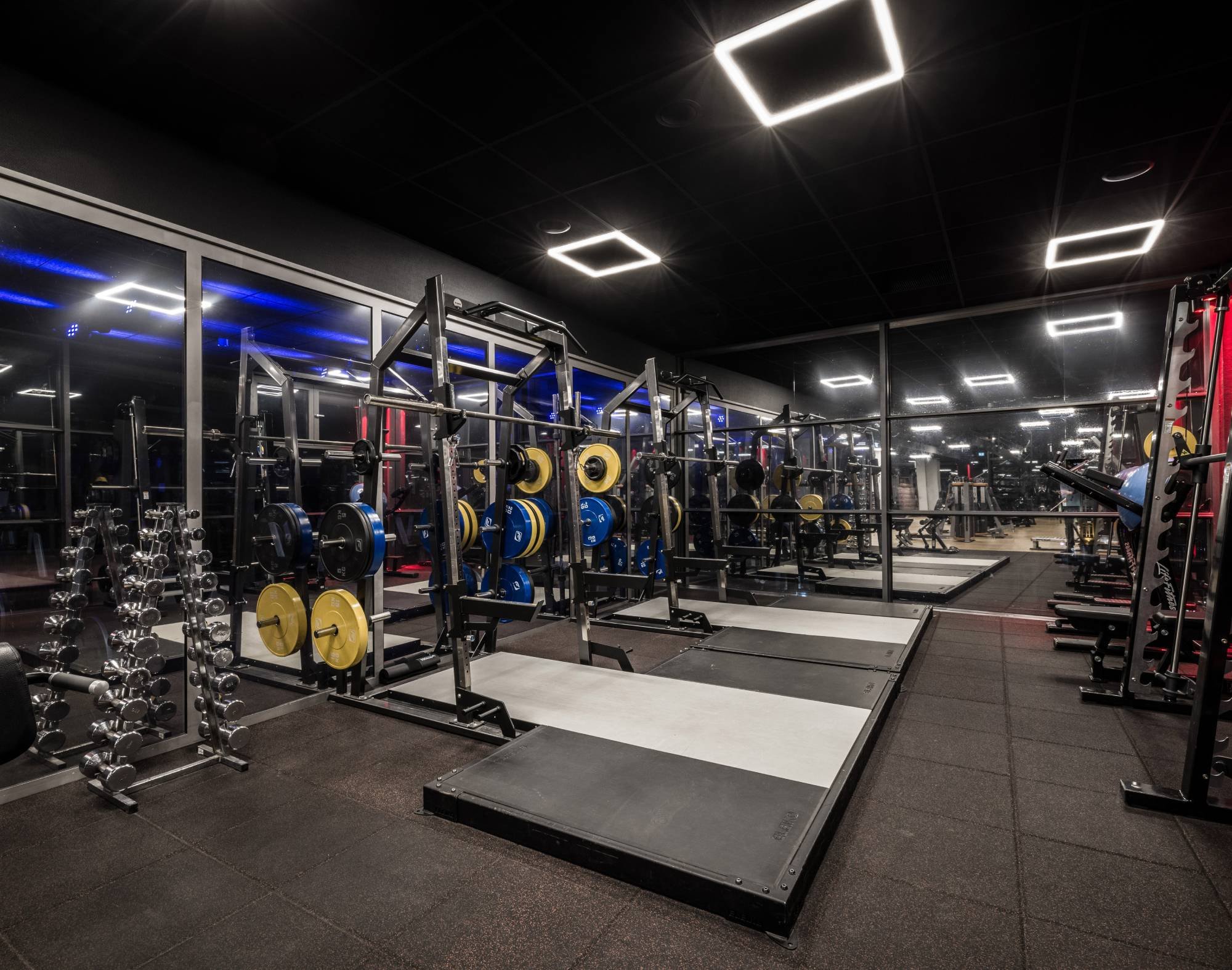 Freeweight Bereich im Fitness First Bonn Freeweight Bereich im Fitness First Bonn