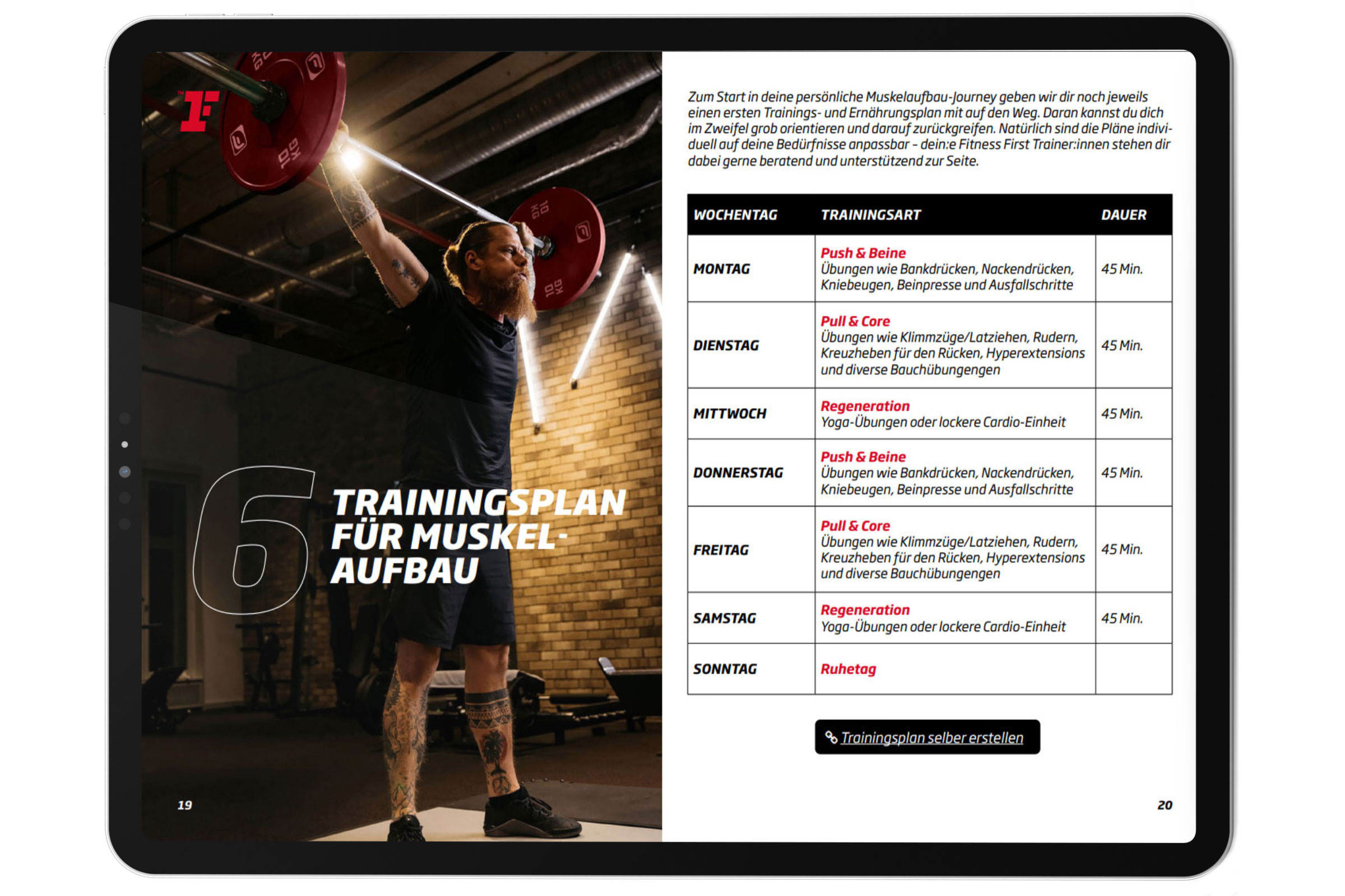 Muskelaufbau Trainingsplan