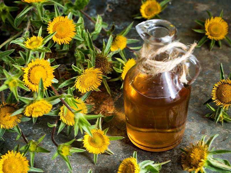 Distelöl ist besonders lange haltbar – bei kühler Lagerung bis zu 10 Monate.