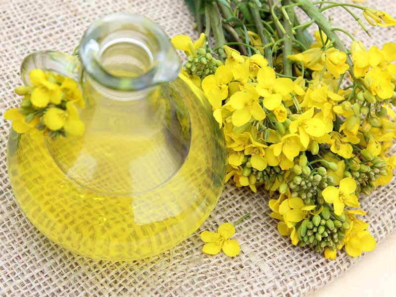 Für das Ersetzen von Butter eignen sich am besten pflanzliche Fette wie Rapsöl.