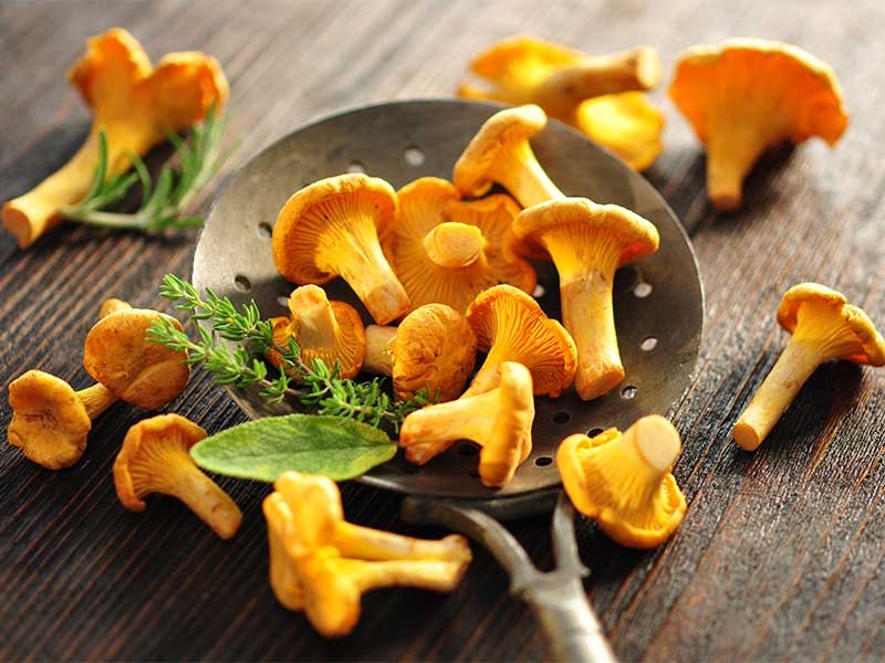 Pilzarten: Pfifferlinge Pfifferlinge werden auch Eierschwämme genannt. Sie sind nicht nur mega tasty, sondern auch sehr gesund.