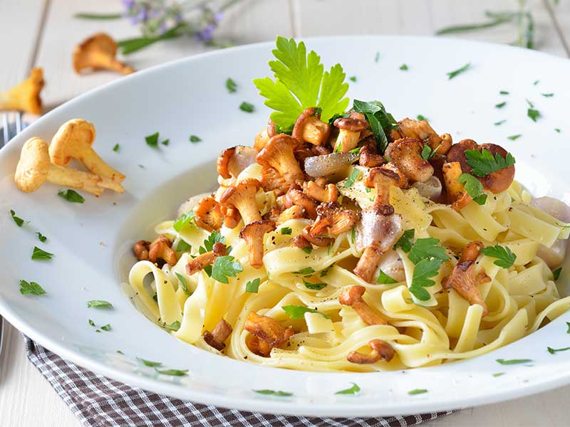 Pasta mit Pfifferlingen Pfifferlinge eignen sich super für Risotto, Pasta oder als Sauce.