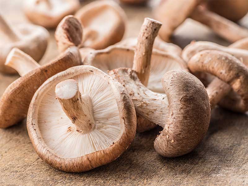 Diese Lebensmittel stärken das Immunsystem: Pilze Pilze stärken dein Immunsystem mit Selen.
