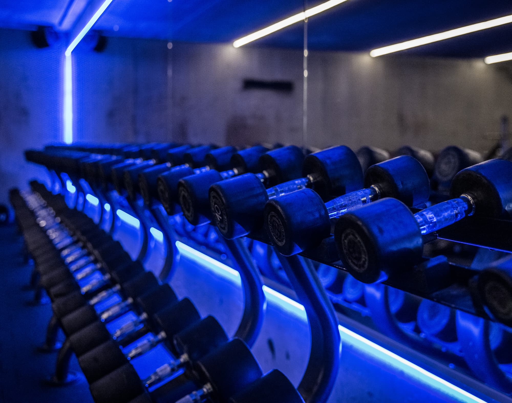 Fitnessstudio Hamburg Harburg ehemalig Fitness Loft Fitness First