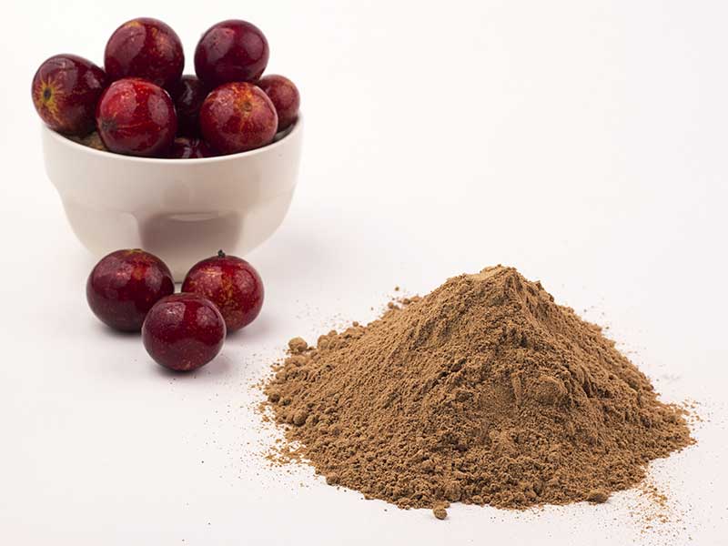 Wenn du dich nun schon leckere Beeren naschen siehst, müssen wir dich leider enttäuschen. Hier sind die südamerikanischen Früchte meist nur in Form von Camu-Camu-Pulver erhältlich.