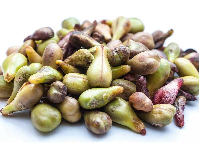 Was ist OPC? Studienlage, Nebenwirkungen, wann sollte ich es einnehmen + FAQ.