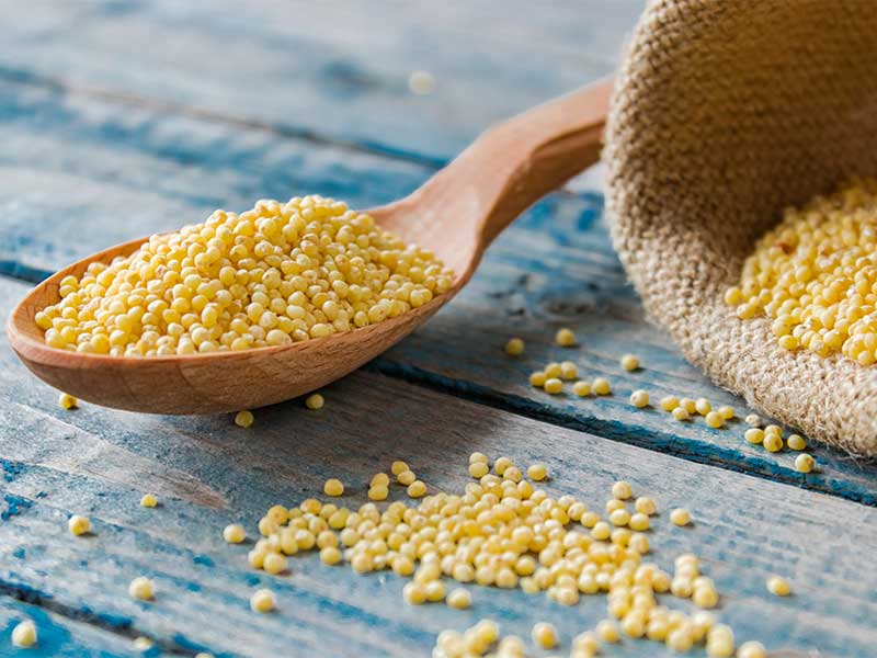 Hirse ist eines der ältesten Getreide, besonders in Afrika ein Grundnahrungsmittel.