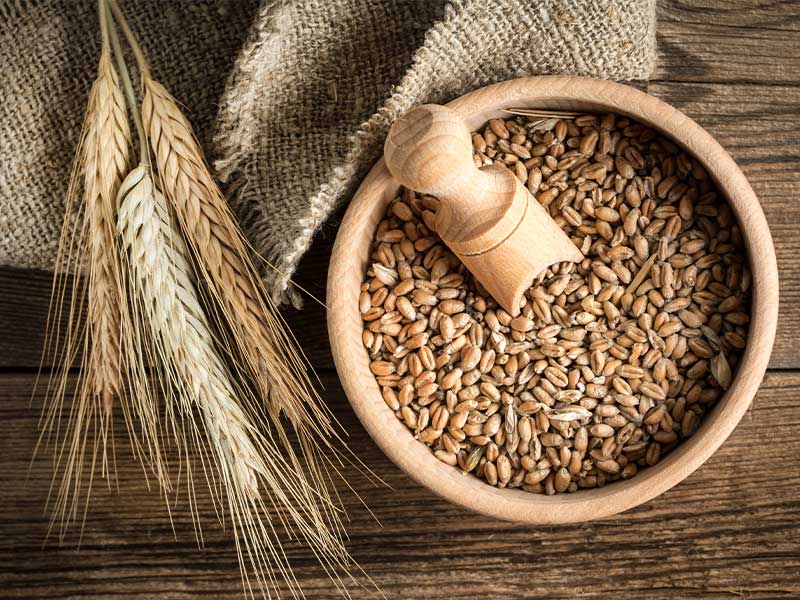 Deutschland ist weltweit größter Roggen-Produzent. 