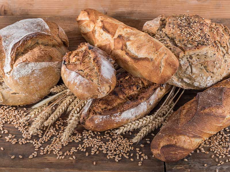 Triticale ist eine Kreuzung aus Weizen & Roggen, v. a. für Tierfutter genutzt. 