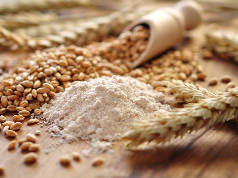 Weizen ist das weltweit am häufigsten angebaute Getreide nach Mais. 