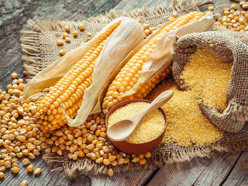 Mais ist das weltweit am häufigsten angebaute Getreide. 