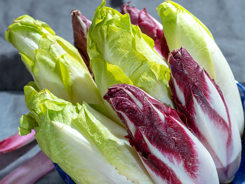 Was sind Bitterstoffe? Wirkung, Bitterstoffe zum Abnehmen, Lebensmittel, Salat-Rezept, Bitterkräuter, Supplements & FAQ.