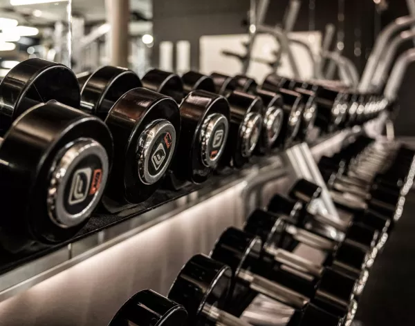 Kurzhanteln - Laupheim