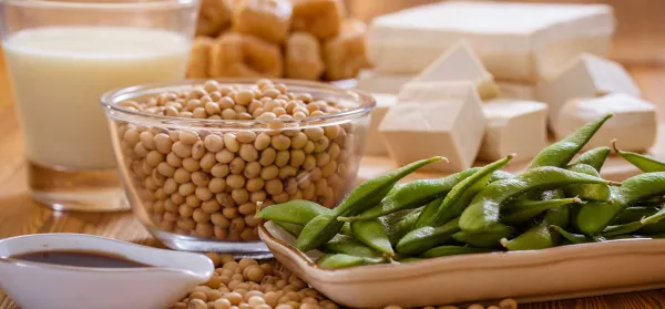 Ist Soja gesund? Dein ultimativer Soja-Guide