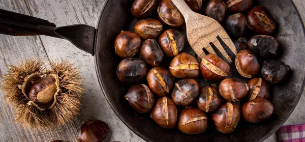 Sind Maronen gesund? Facts & Rezepte zu Esskastanien