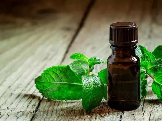 Es gibt verschiedene natürliche, pflanzliche Mittel, die gesunden Schlaf fördern. z. B. Lavendel.