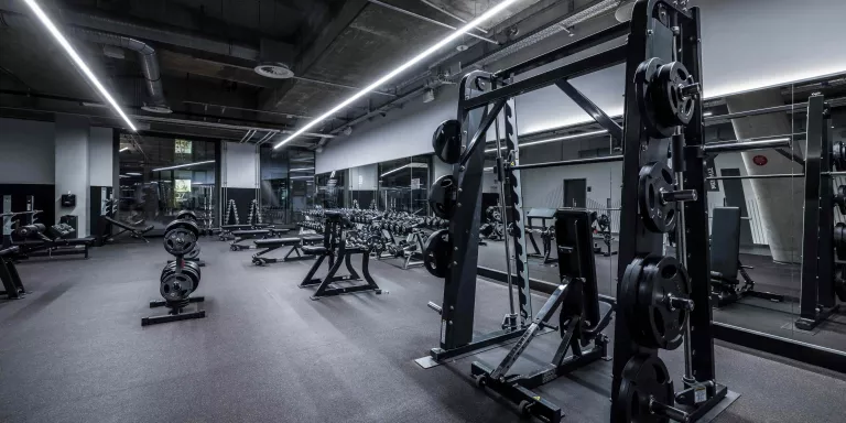 Fitness First Mannheim - Plate-loaded Area