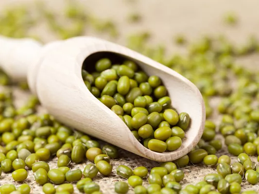 Wie viel Eiweiß haben Mungobohnen? 23 Gramm! Mungobohnen bestehen zu satten 23 % aus Proteinen! Das macht sie zu einem super Eiweiß-Lieferanten.