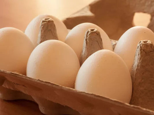 Eier beinhalten hochwertiges Protein sowie gesunde Fette und halten deinen Körper lange satt.