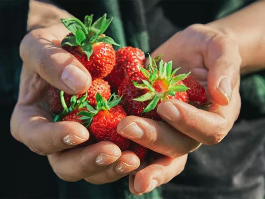 Asparagin sind Aminosäuren, die u. a. in Erdbeeren vorkommen.